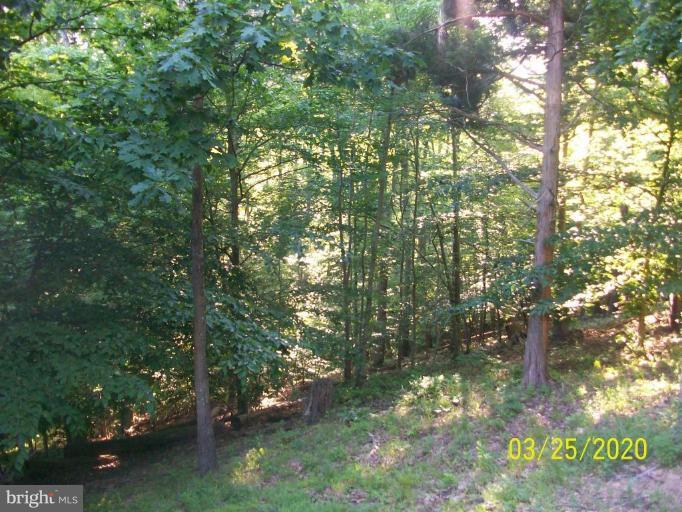 2142 Frogtown Road Bluemont, VA 20135 - Photo 15 of 24 view from deck
