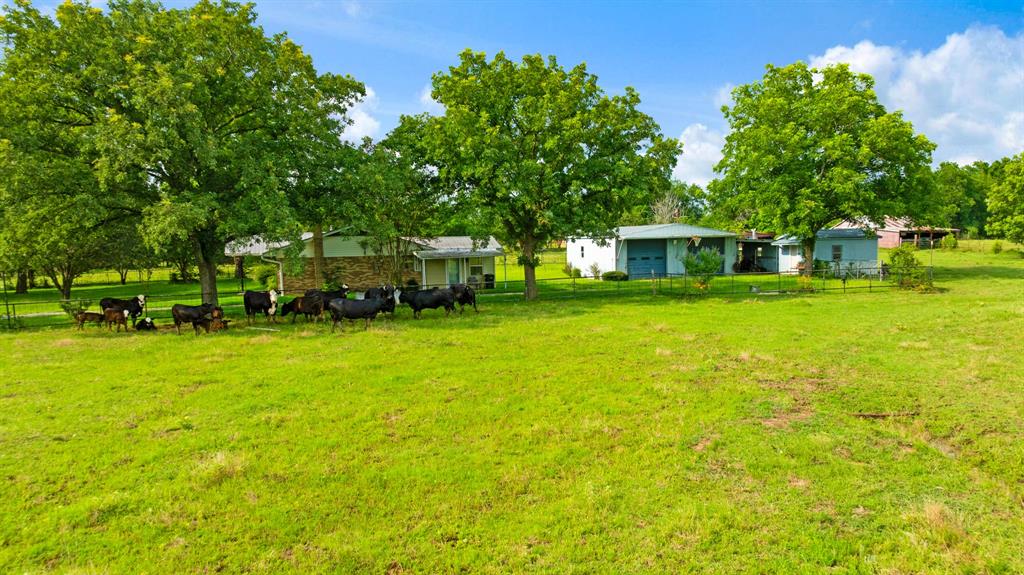 900 County Road Paris, TX 75462 - Photo 19 of 29