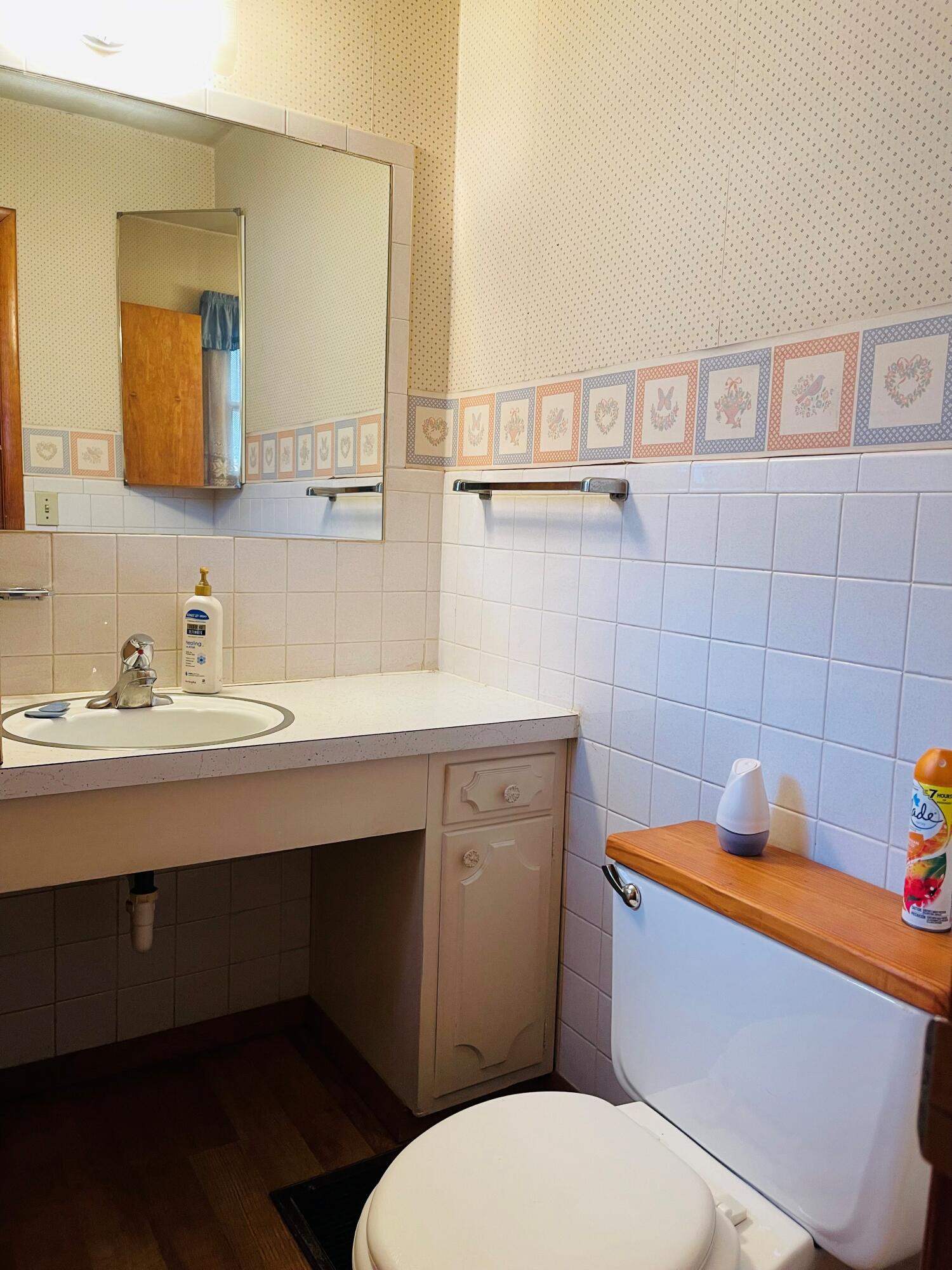 971 Ruth Lane Niles, MI 49120 - Photo 18 of 25 IMG-4218