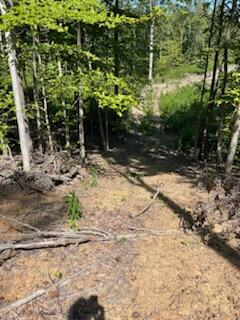 2220 Ruritan Road Harriman, TN 37748 - Photo 13 of 17 IMG_1469