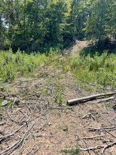 2220 Ruritan Road Harriman, TN 37748 - Photo 15 of 17 IMG_1472