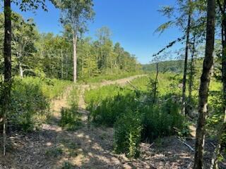 2220 Ruritan Road Harriman, TN 37748 - Photo 2 of 17 IMG_1470