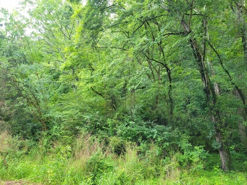 2220 Ruritan Road Harriman, TN 37748 - Photo 7 of 17 6