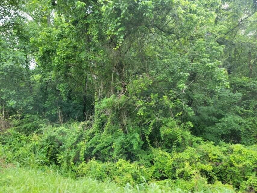 2220 Ruritan Road Harriman, TN 37748 - Photo 9 of 17 8