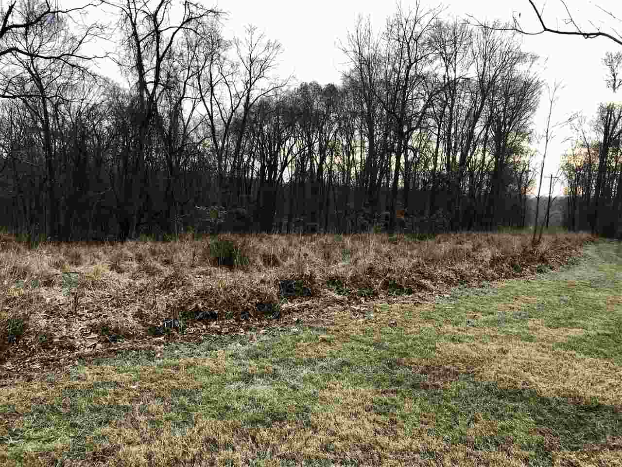 7303 East Rush Ridge Road Bloomington, IN 47401 - Photo 4 of 8