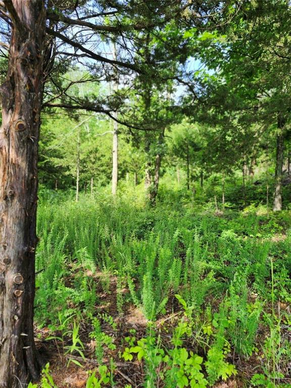158 Greentree-Ridge Mound City, KS 66056 - Photo 2 of 14