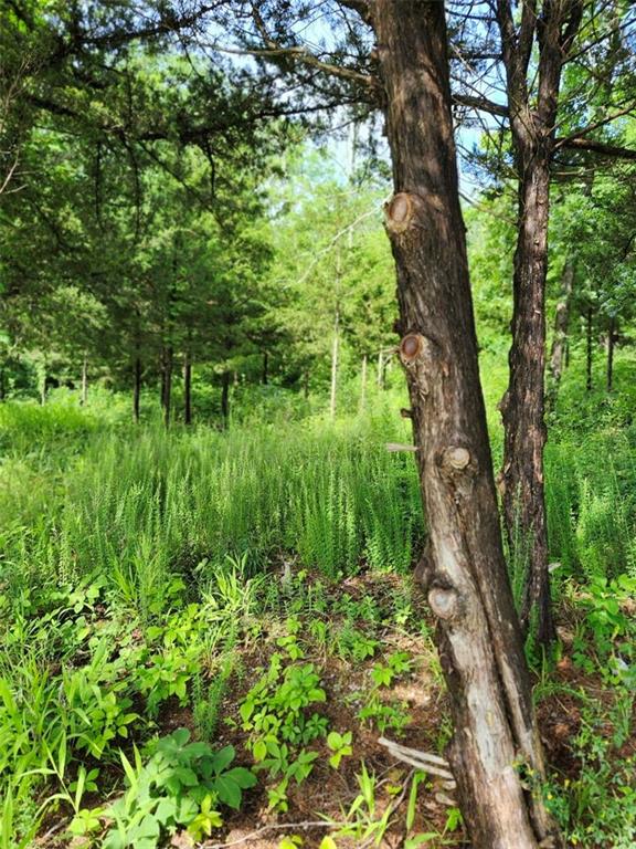 158 Greentree-Ridge Mound City, KS 66056 - Photo 3 of 14