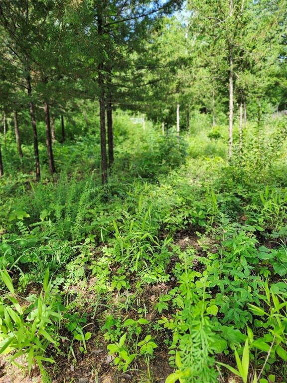 158 Greentree-Ridge Mound City, KS 66056 - Photo 4 of 14