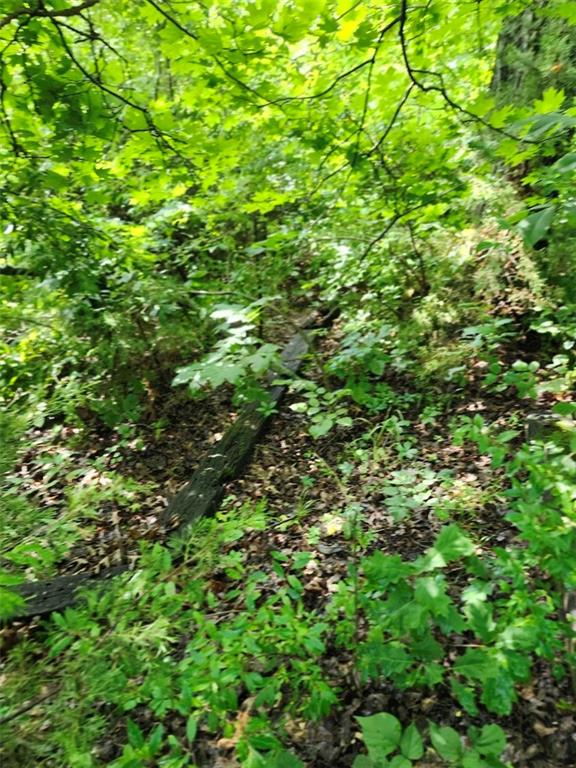 158 Greentree-Ridge Mound City, KS 66056 - Photo 7 of 14