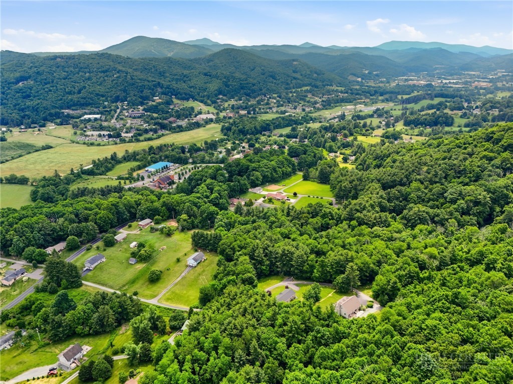 245 Papa Cook Road Boone, NC 28607 - Photo 21 of 48