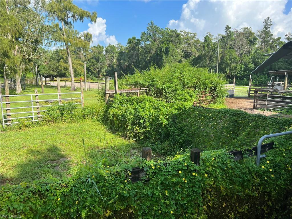 2170 Rock Road Naples, FL 34120 - Photo 11 of 15 a view of a park with large trees