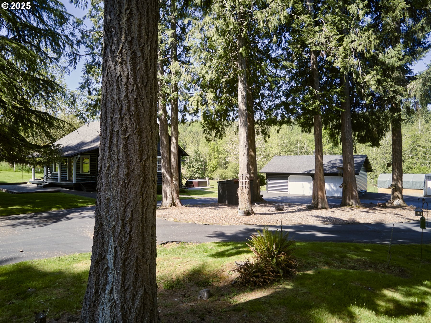 1020 Paine Road Castle Rock, WA 98611 - Photo 3 of 47 Front Yard