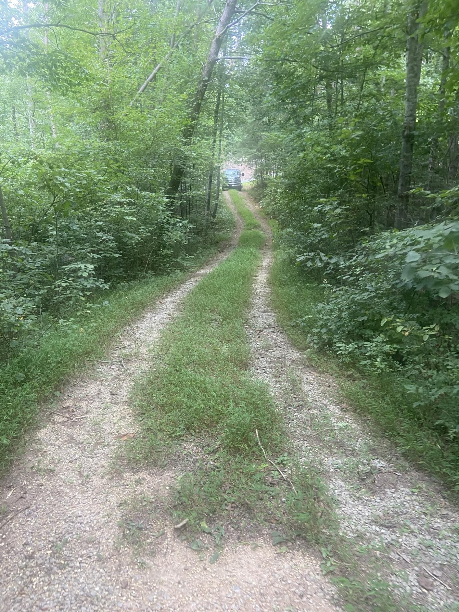 7 Northwest Mowery Road Cleveland, TN 37312 - Photo 1 of 5 Gallery Image 1