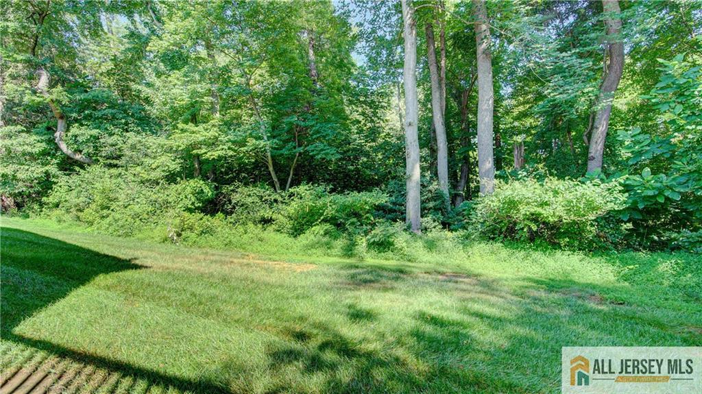 1 Whitehall Road Monroe Township, NJ 08831 - Photo 25 of 57