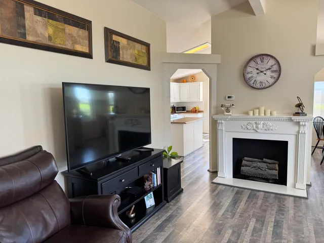 a living room with furniture a fireplace and a potted plant