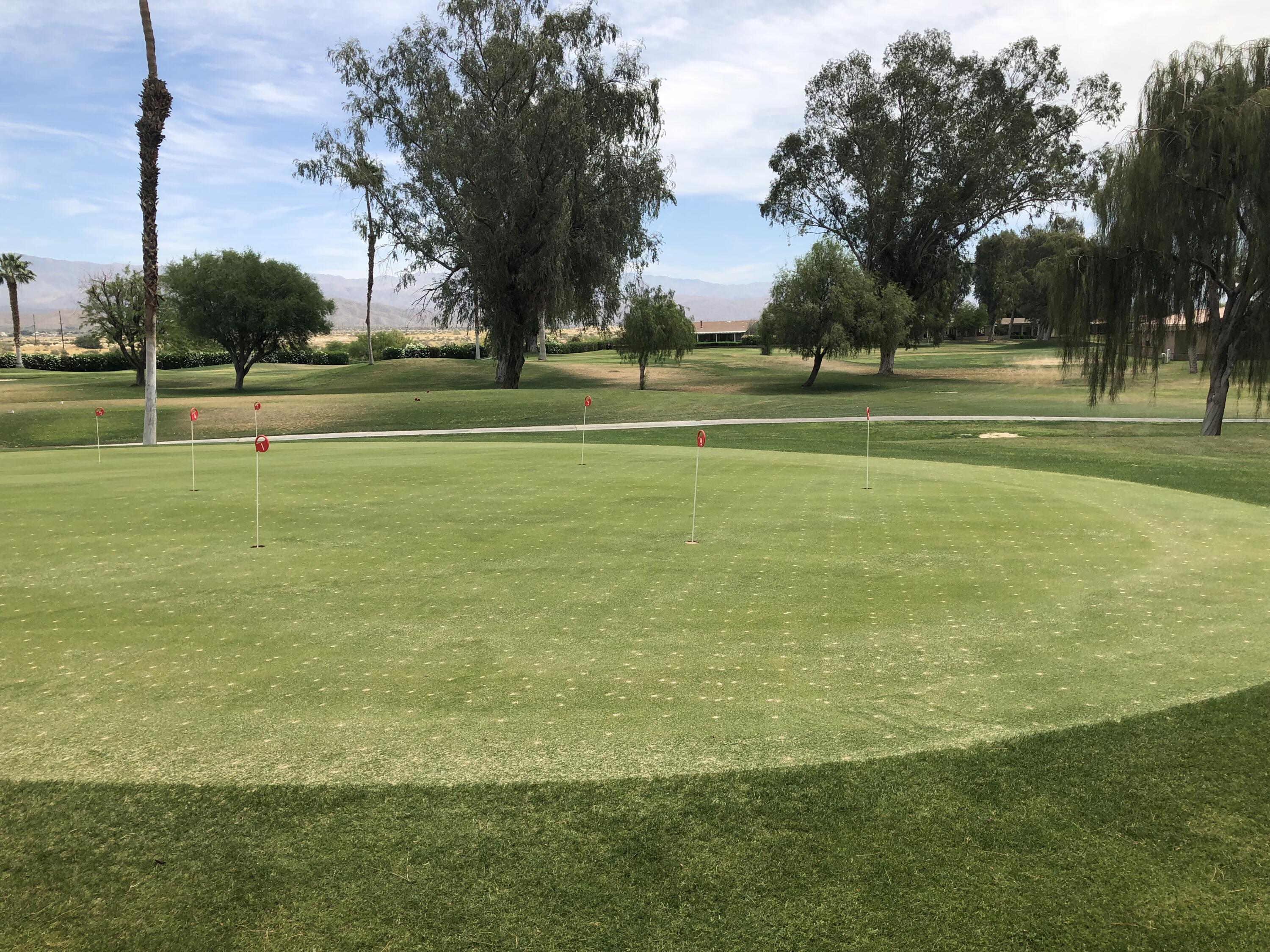 35280 South Border Thousand Palms, CA 92276 - Photo 45 of 50 a view of a tennis ground with large trees