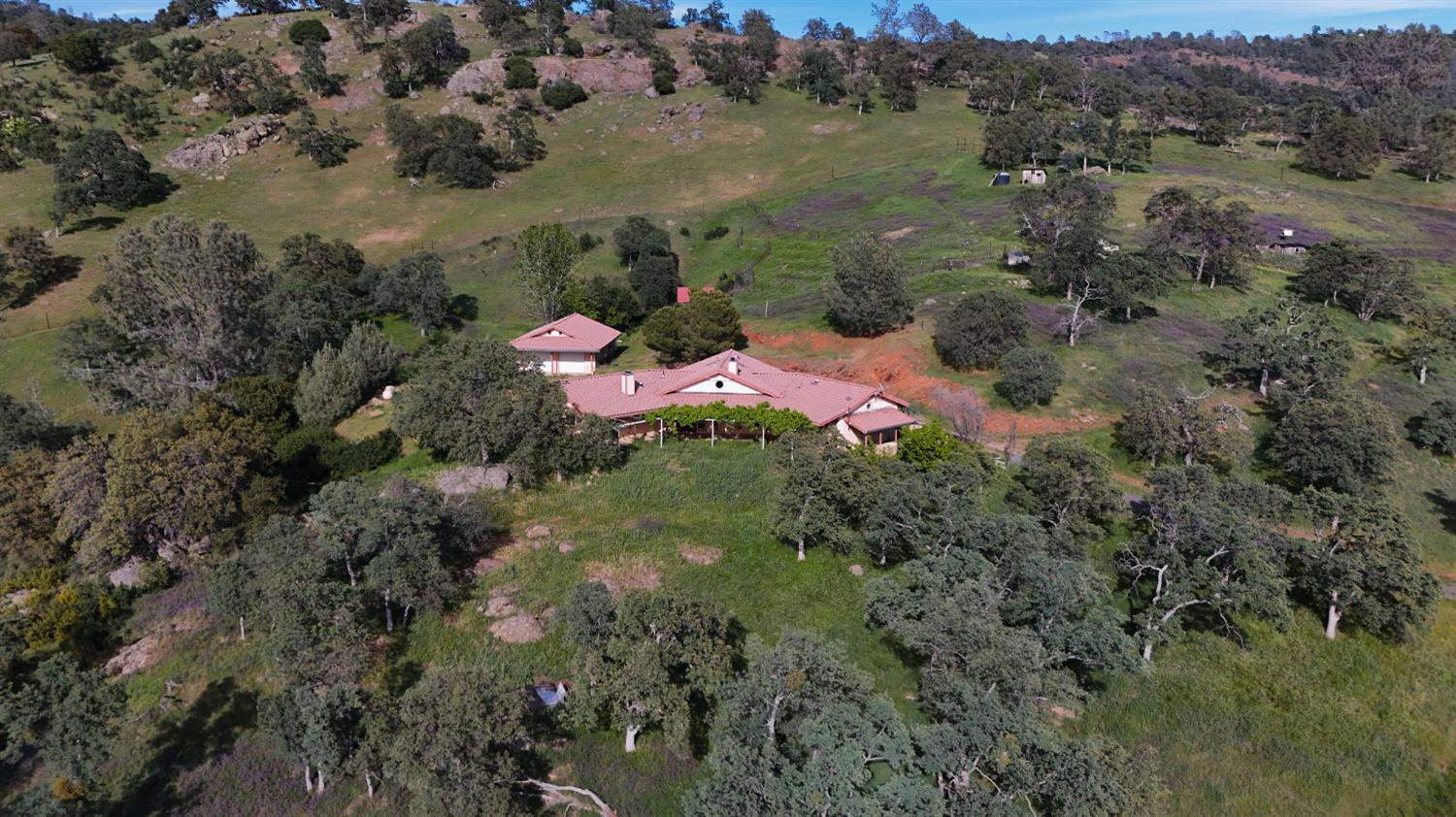 2428 Hunt Road Angels Camp, CA 95222 - Photo 2 of 41 Gallery Image 2