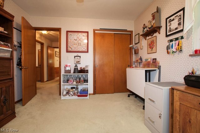 12809 Webster Road Strongsville, OH 44136 - Photo 18 of 35 Gallery Image 18