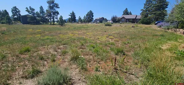 a view of a field