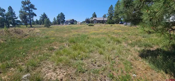 a view of outdoor space and trees