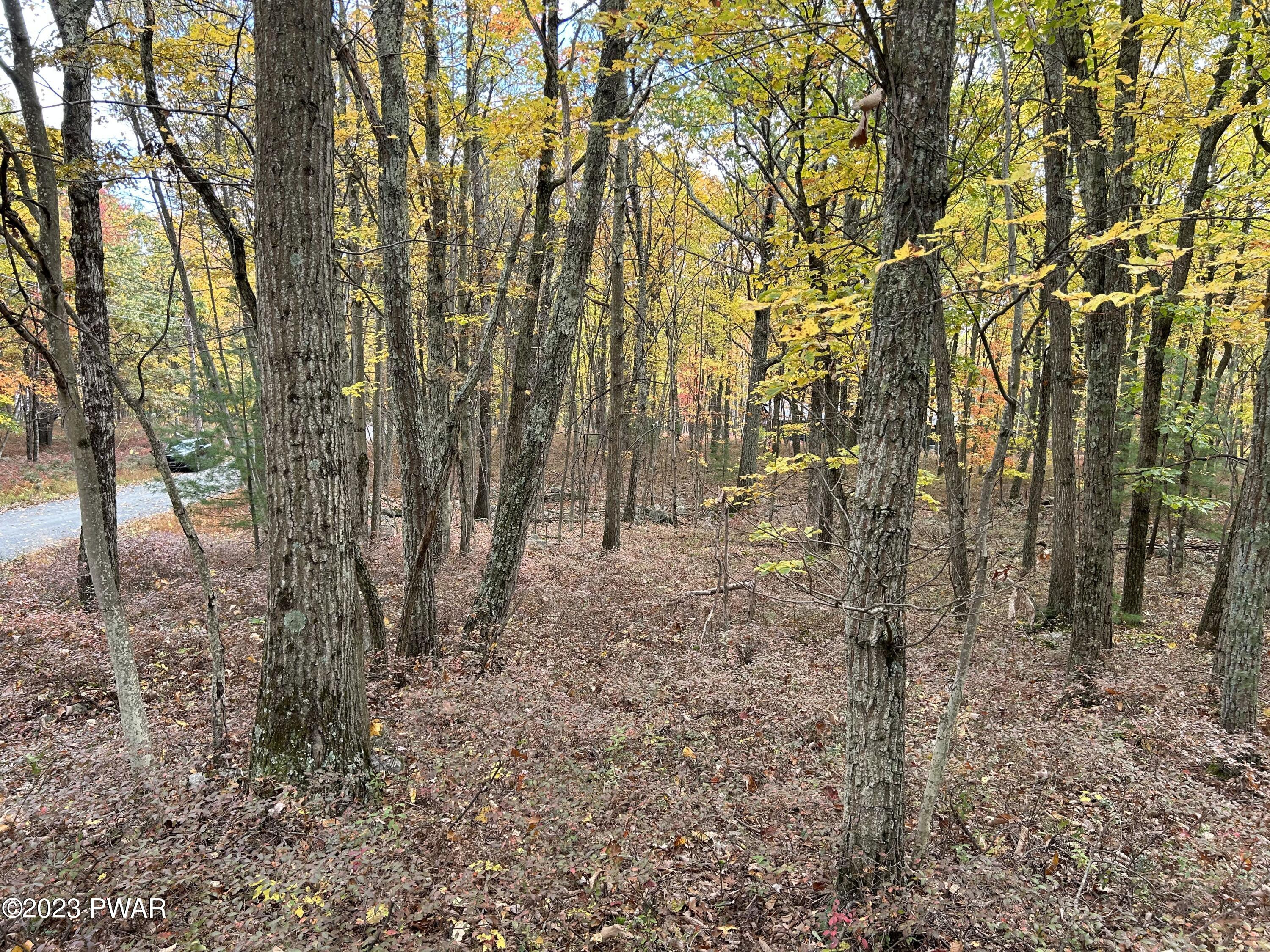 Lot 26 Timber Ridge Drive Hawley, PA 18428 - Photo 10 of 18