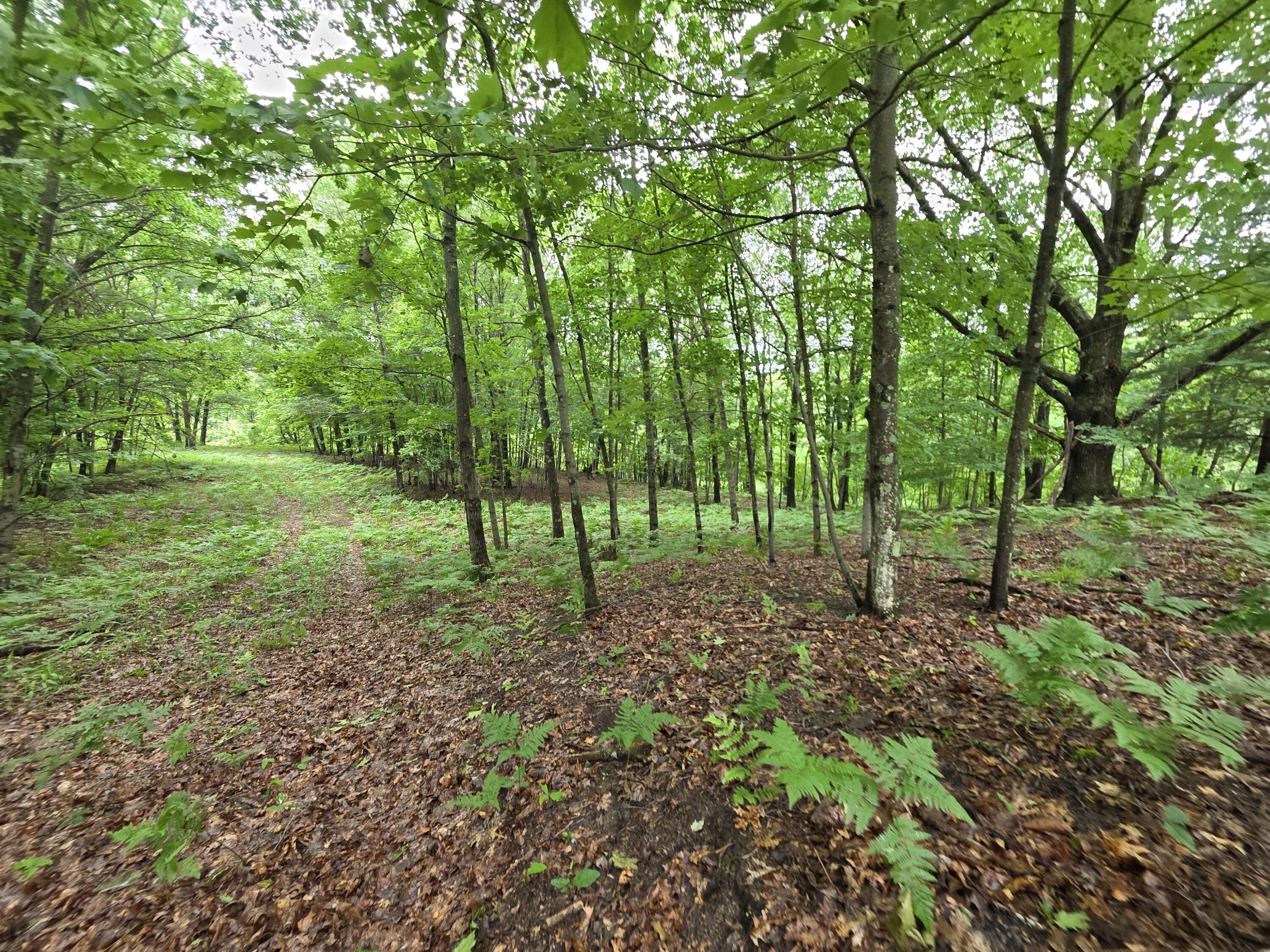 Madison Road Hesperia, MI 49421 - Photo 15 of 21 1000056959