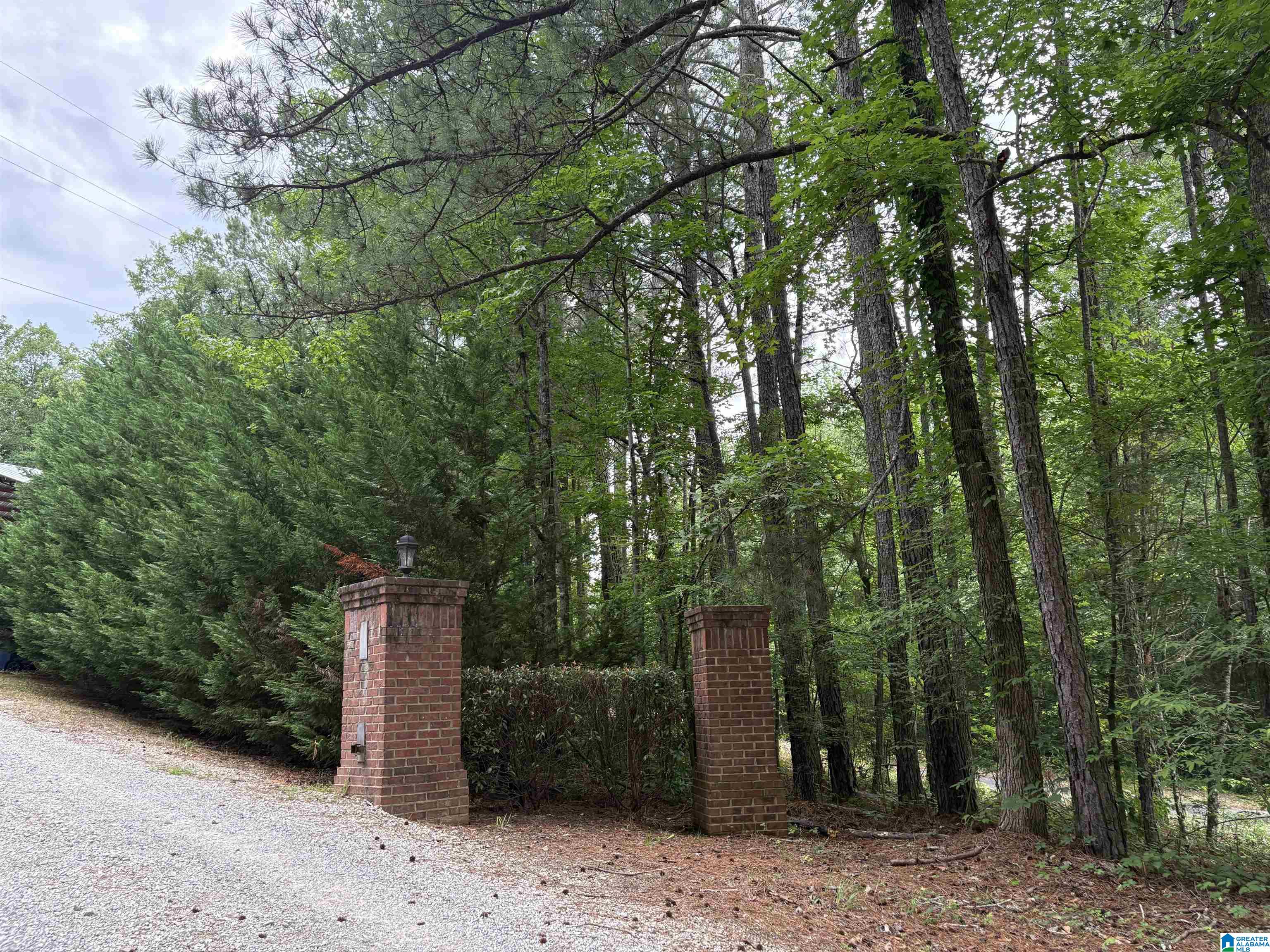 1322 Mitchellville Road Ohatchee, AL 36271 - Photo 49 of 51