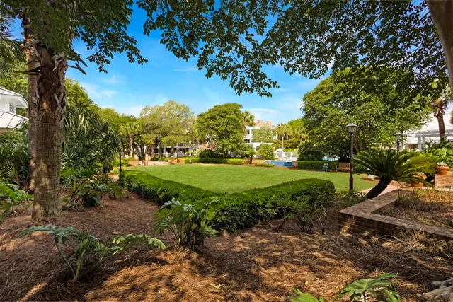 a view of a park with large trees