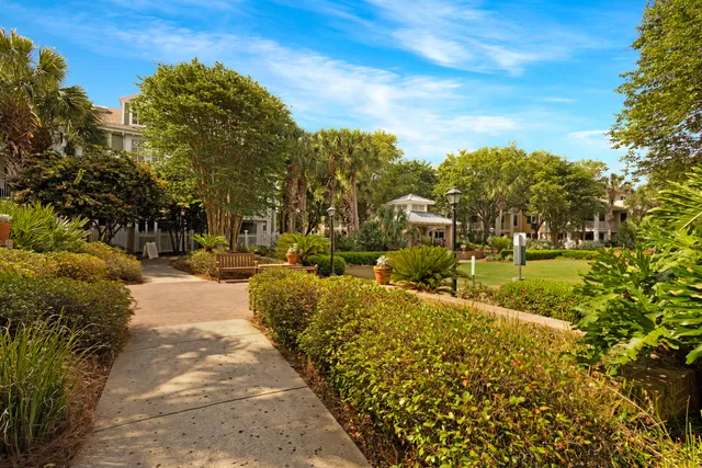 a view of a yard with pathway