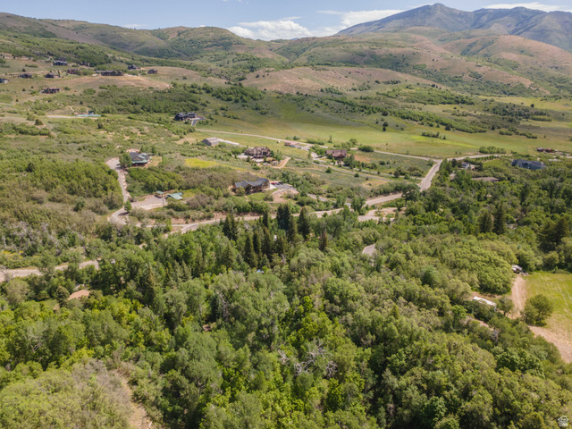 6449 North North Fork Road Eden, UT 84310 - Photo 24 of 38 Expansive natural landscape with varied terrain and established trees