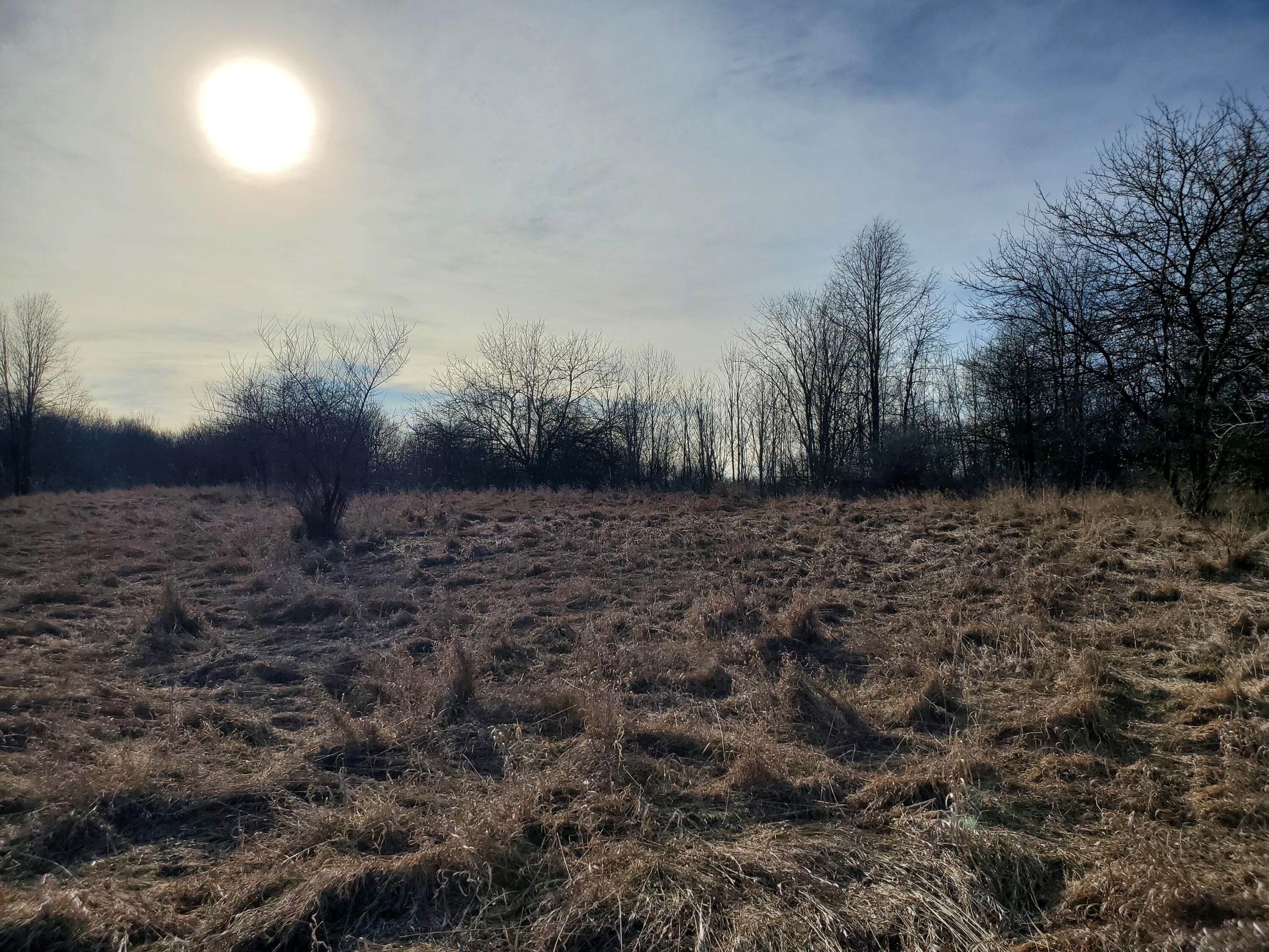 Vl Head Road Delton, MI 49046 - Photo 12 of 34 20250310_173529