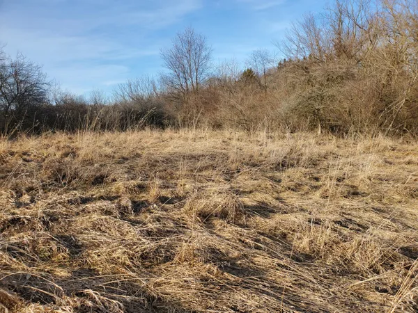 $350,000 | Vl Head Road, Delton, MI 49046