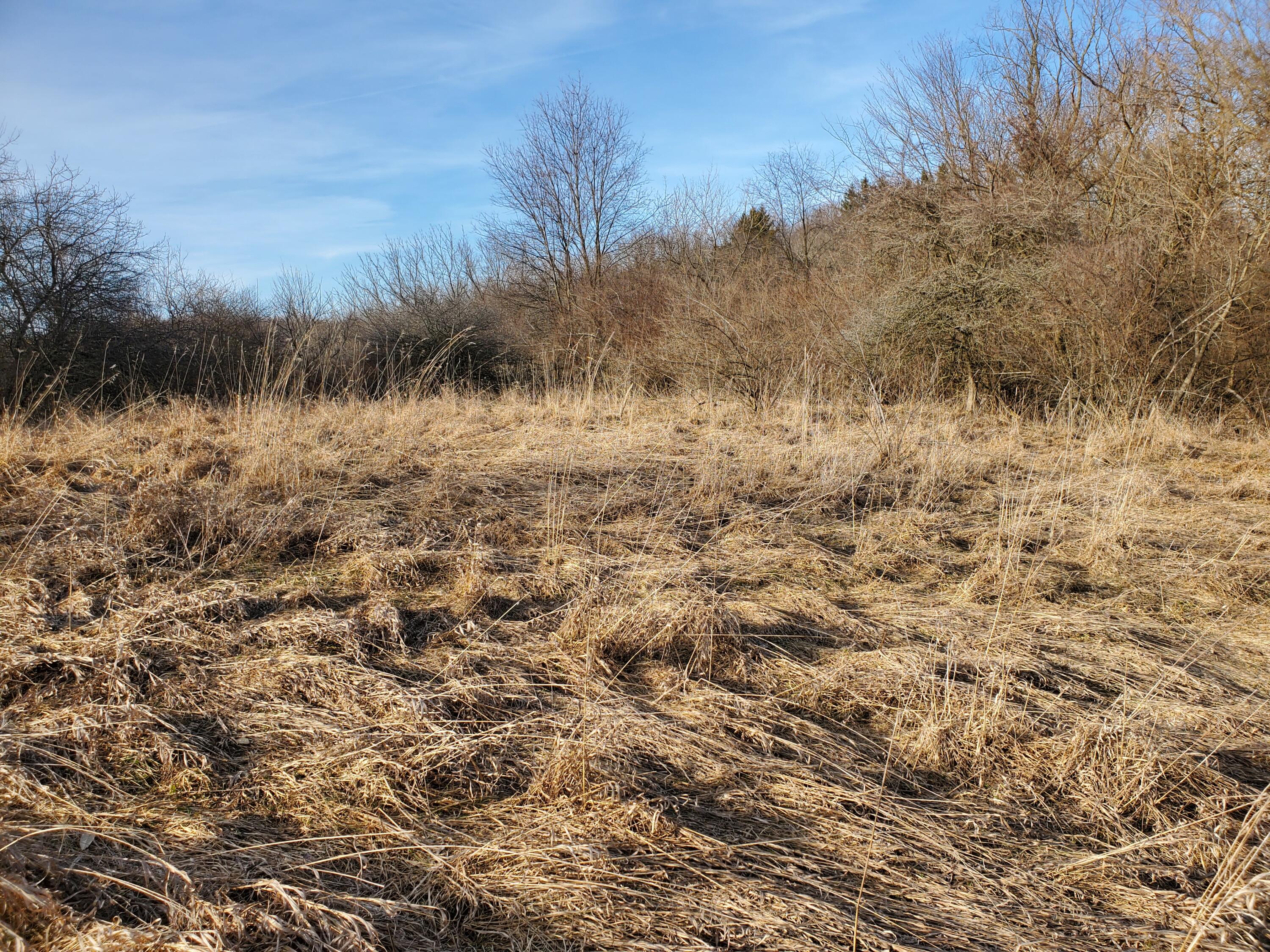 Vl Head Road Delton, MI 49046 - Photo 14 of 34 20250310_174031