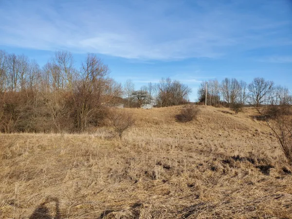 $350,000 | Vl Head Road, Delton, MI 49046