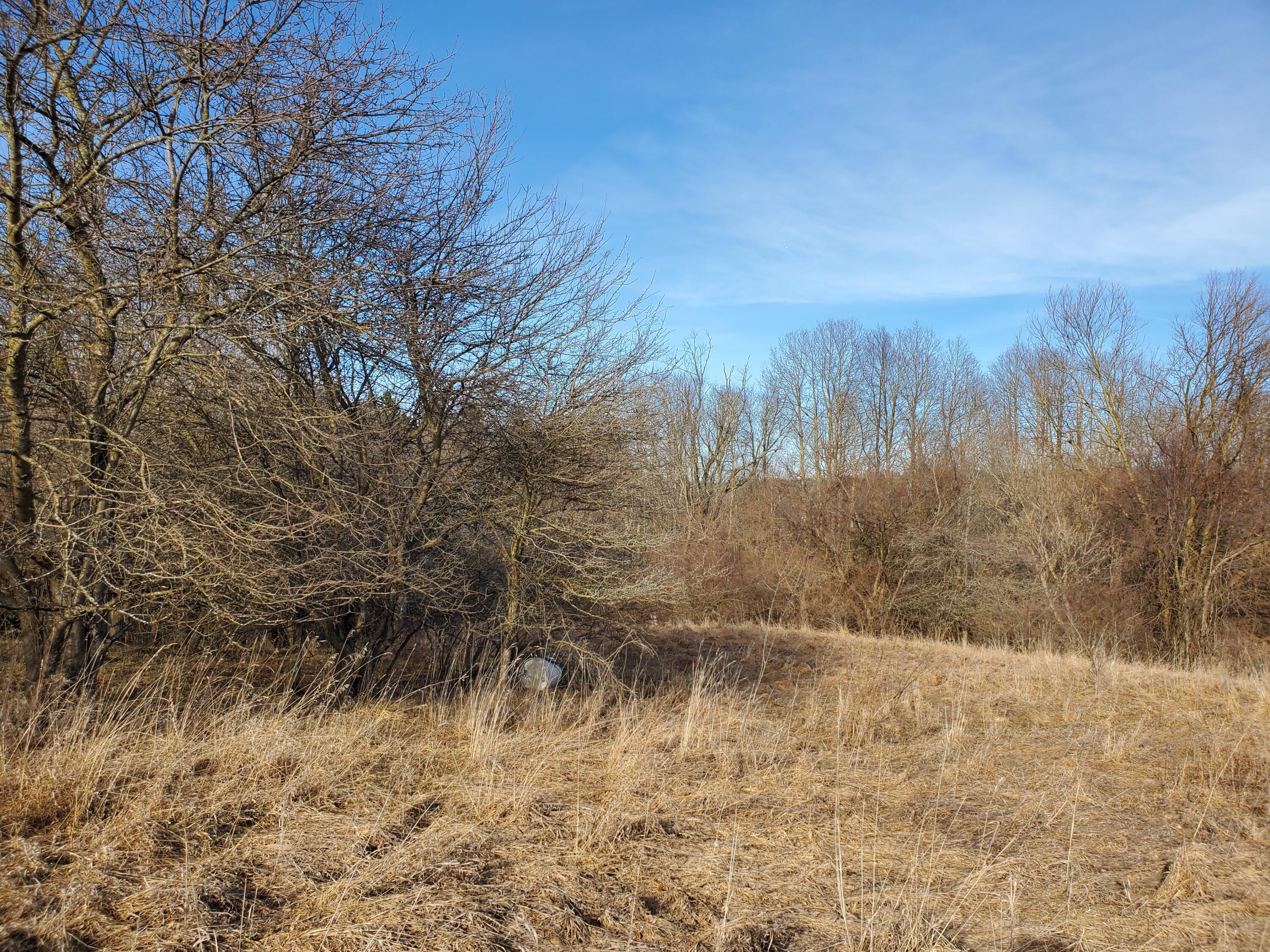 Vl Head Road Delton, MI 49046 - Photo 16 of 34 rolling hills