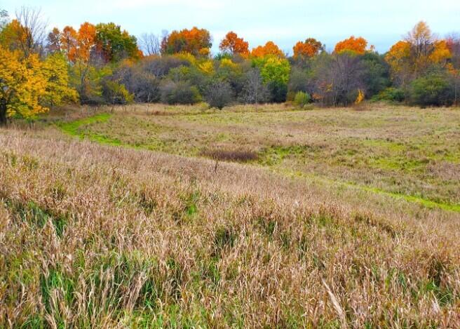 Vl Head Road Delton, MI 49046 - Photo 17 of 34 Screenshot 2025-03-11 111714