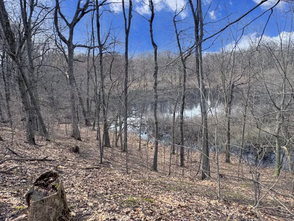 $350,000 | Vl Head Road, Delton, MI 49046