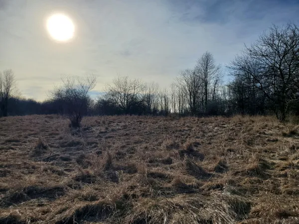 $350,000 | Vl Head Road, Delton, MI 49046