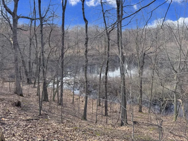 $350,000 | Vl Head Road, Delton, MI 49046