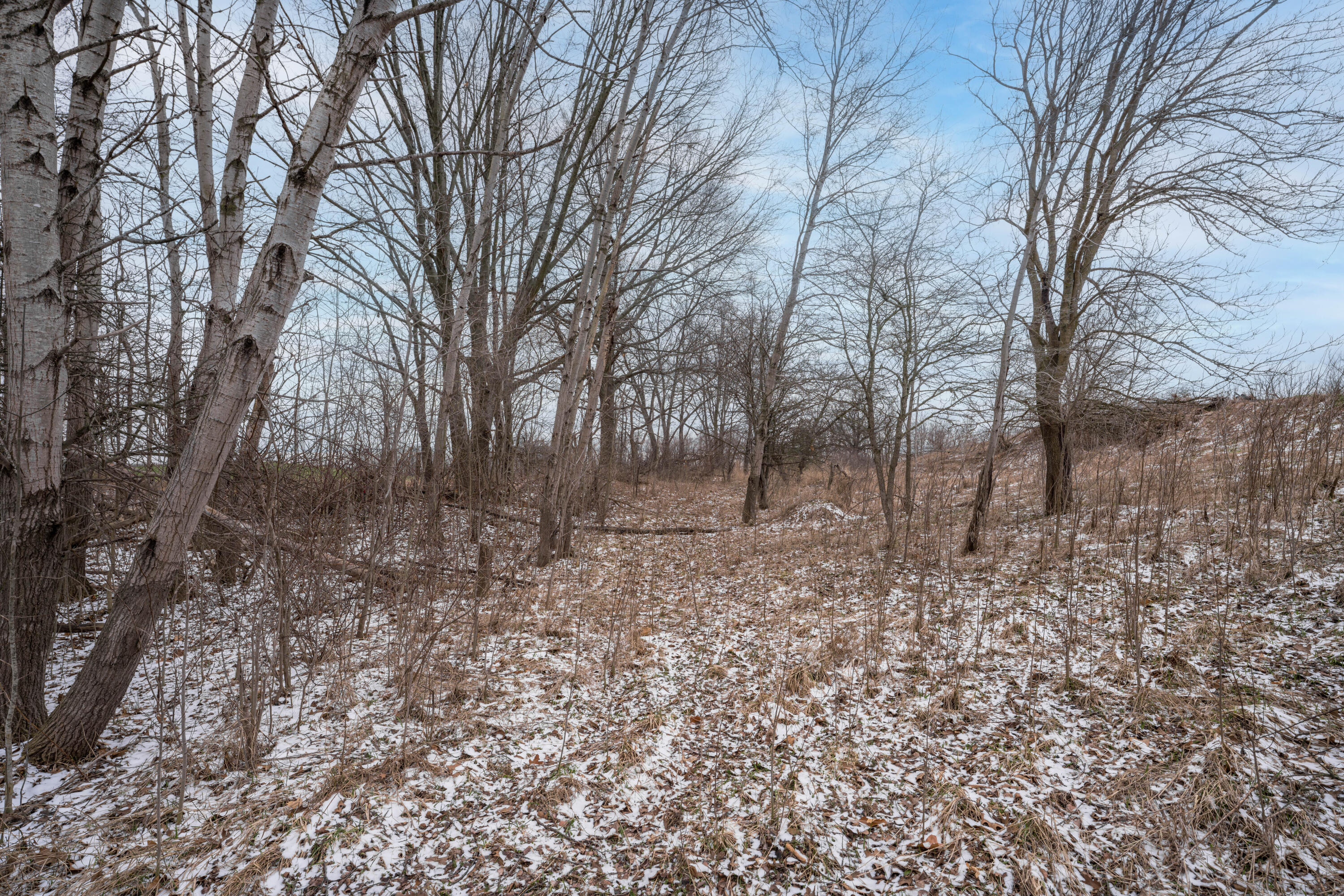 Vl Head Road Delton, MI 49046 - Photo 9 of 36 DSC07033-Edit