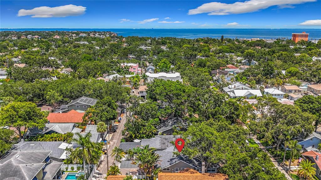 231 15th Avenue Northeast St. Petersburg, FL 33704 - Photo 61 of 61