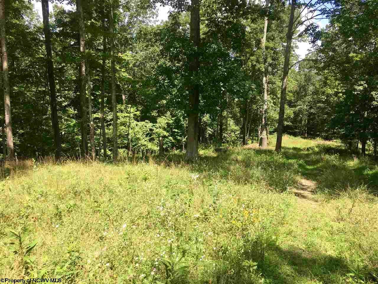 2125 Villanova Ridge Road Duck, WV 25063 - Photo 3 of 8 Gallery Image 3