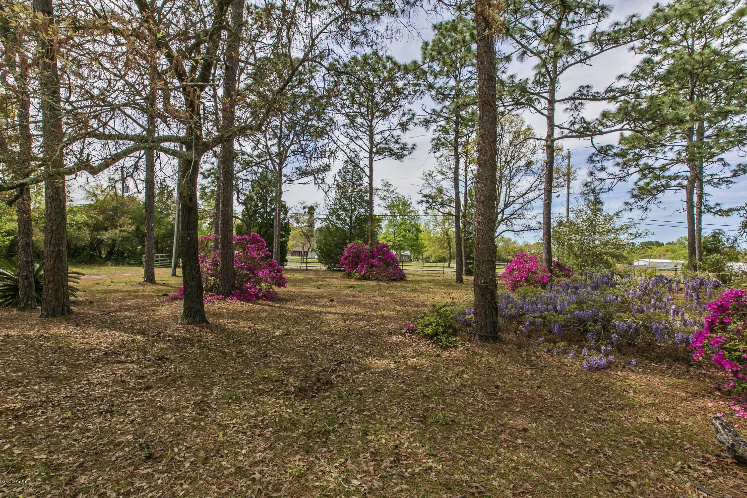 14327 Grover Road Jacksonville, FL 32226 - Photo 23 of 25 023_Front Yard