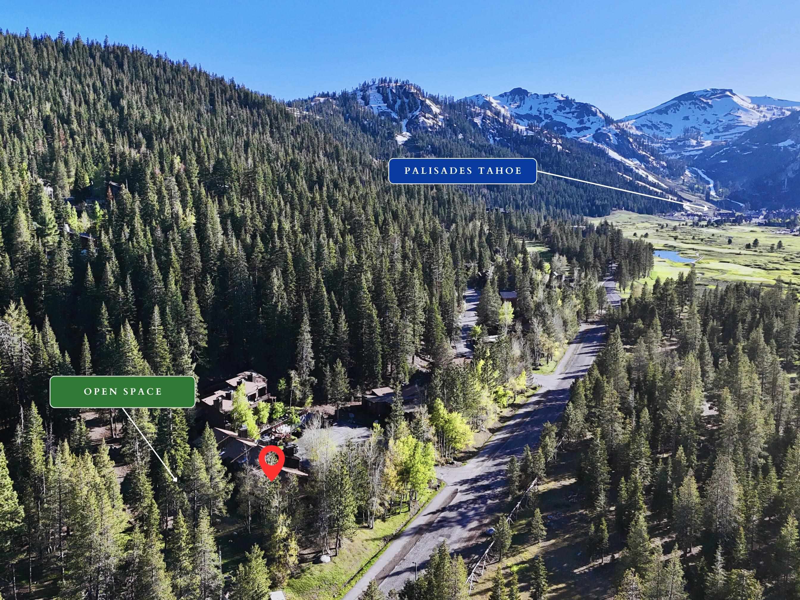 3003 Meadow Court, Unit 1 Olympic Valley, CA 96146 - Photo 22 of 24 a view of a bunch of flowers