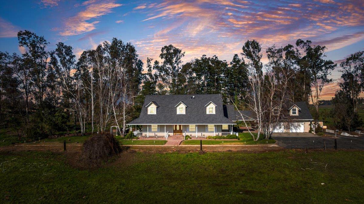 a view of a big yard with plants and trees