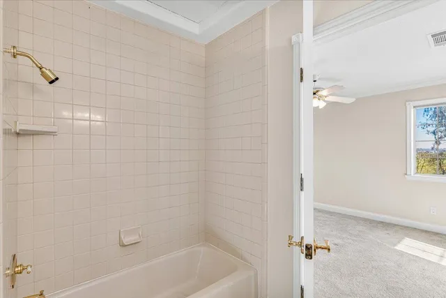 a view of a yard with tree s