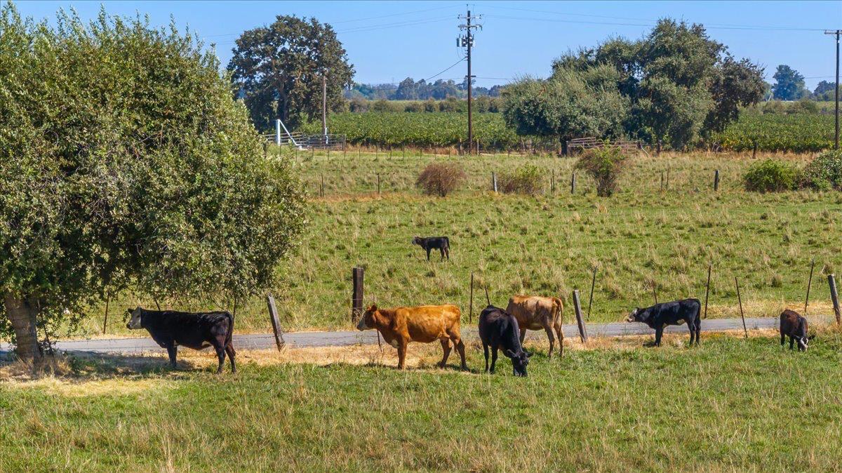 12900 Angrave Road Herald, CA 95638 - Photo 84 of 99