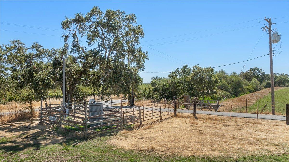 12900 Angrave Road Herald, CA 95638 - Photo 92 of 99 a view of a yard with tree s