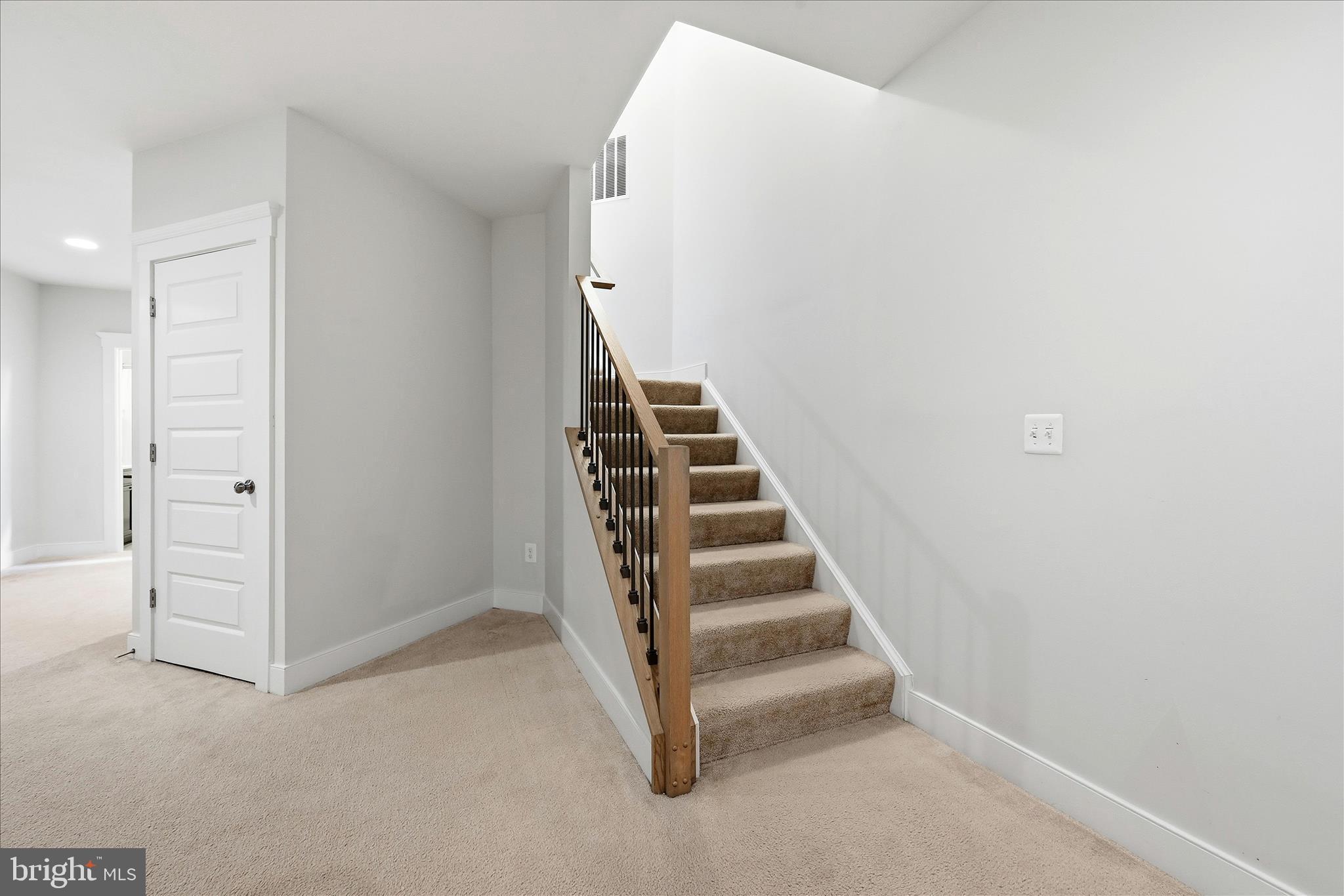 35939 Fieldside Way Round Hill, VA 20141 - Photo 52 of 82 Basement