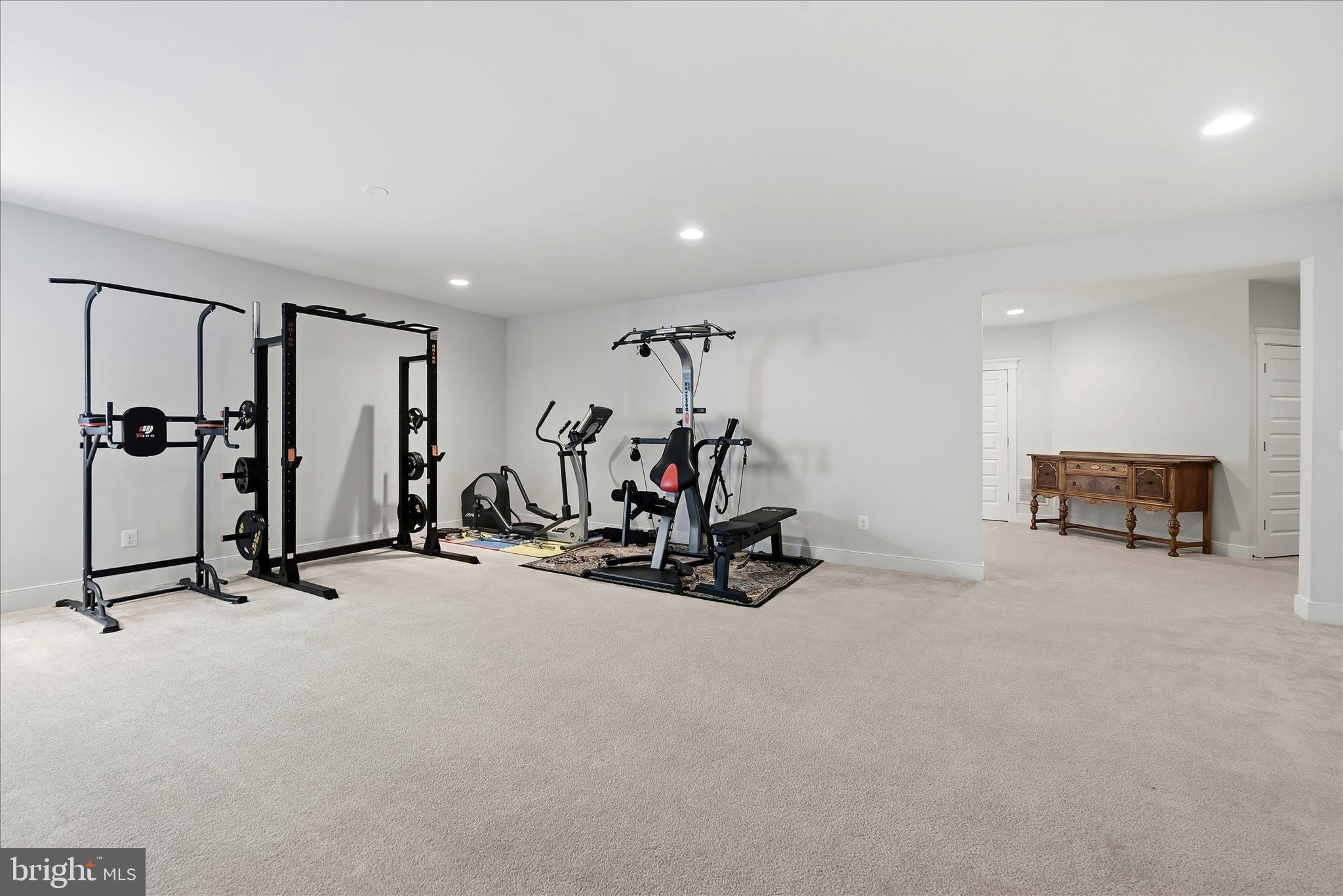 35939 Fieldside Way Round Hill, VA 20141 - Photo 59 of 82 Basement